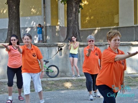tai chi - Falunap Sajkpolnn 2015 Sajkpolna