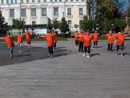 tai chi - Harmnia napja 2011 Miskolc