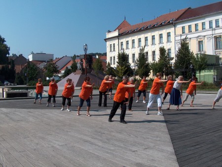 tai chi - Harmnia napja 2011 Miskolc