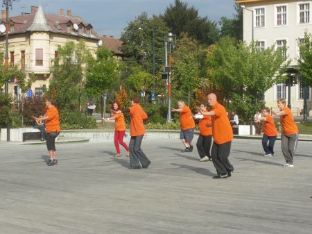tai chi - Harmnia napja 2012 Miskolc