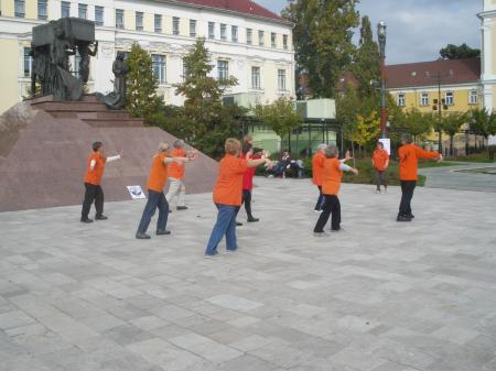 tai chi - Harmnia napja 2013 Miskolc