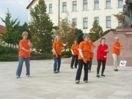 tai chi - Harmnia napja 2013 Miskolc