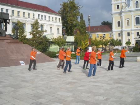 tai chi - Harmnia napja 2013 Miskolc