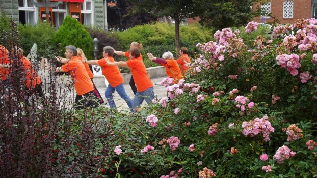 tai chi - Harmnia napja 2014 Miskolc - Szinva terasz