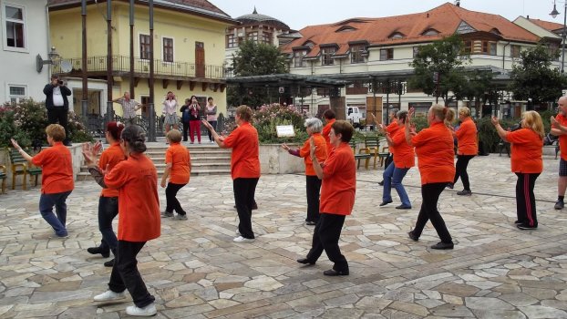 tai chi - Harmnia napja 2014 Miskolc - Szinva terasz