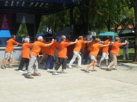 tai chi - Hejsokadalom 2012 Hejbba