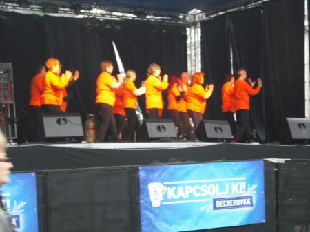 tai chi - Miskolci Kocsonya Farsang 2014 Miskolc