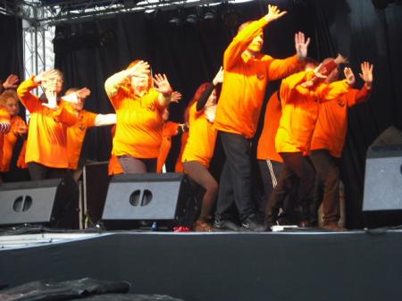 tai chi - Miskolci Kocsonya Farsang 2014 Miskolc