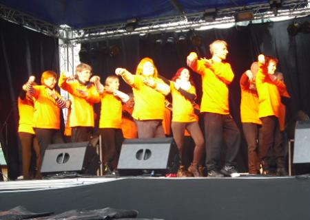 tai chi - Miskolci Kocsonya Farsang 2014 Miskolc