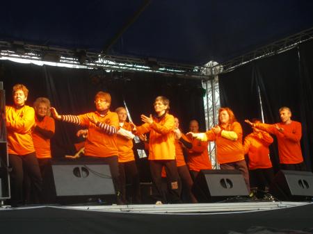 tai chi - Miskolci Kocsonya Farsang 2014 Miskolc