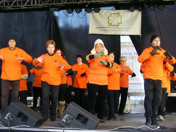 tai chi - Miskolci Kocsonya Farsang 2015 Miskolc