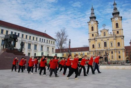 tai chi - Kocsonyafesztivl 2008 Miskolc
