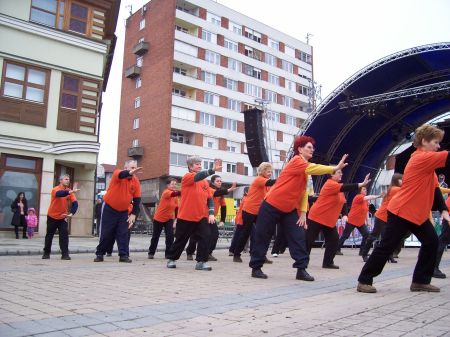 tai chi - Kocsonyafesztivl 2011 Miskolc