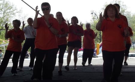 tai chi - Majlis 2013 Miskolc