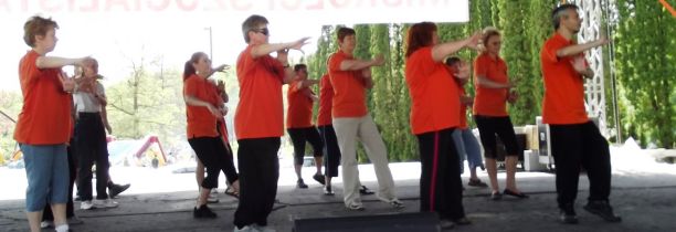 tai chi - Majlis 2013 Miskolc