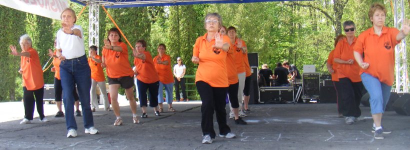 tai chi - Majlis 2013 Miskolc