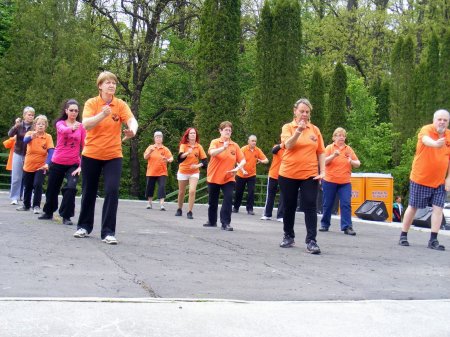 tai chi - Majlis 2015 Miskolc