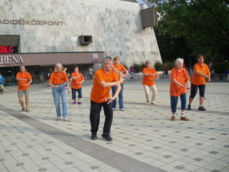 tai chi - Mobilits-ht 2011, Miskolc