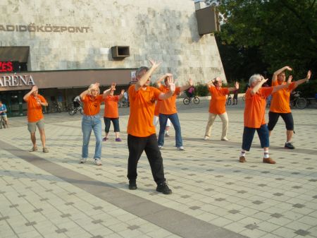 tai chi - Mobilits-ht 2011, Miskolc