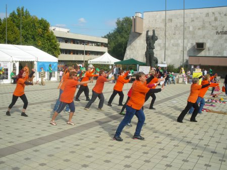 tai chi - Mobilits-ht 2013, Miskolc