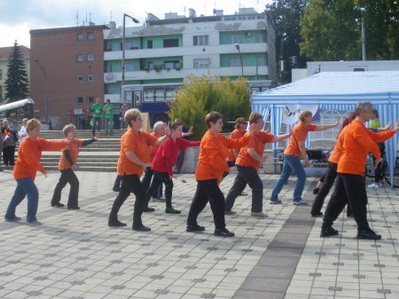 tai chi - Mobilits-ht 2013, Miskolc