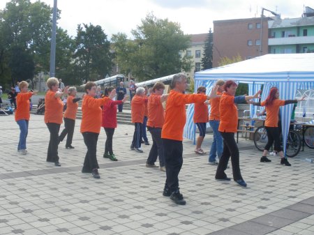 tai chi - Mobilits-ht 2013, Miskolc