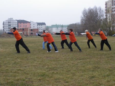 tai chi - Kaptrhz nyitrendezvnye 2011, Nyregyhza