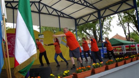 tai chi - Pnksdi Sokadalom 2015 Hejbba