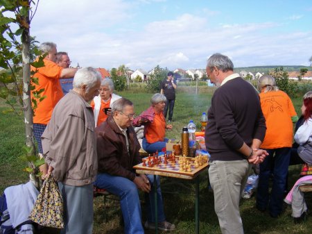 tai chi - szikszi sport- s egszsgnap Sziksz 2013