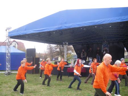 tai chi - Szirmai fzs 2013 Miskolc-Szirma