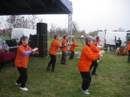 tai chi - Szirmai fzs 2013 Miskolc-Szirma