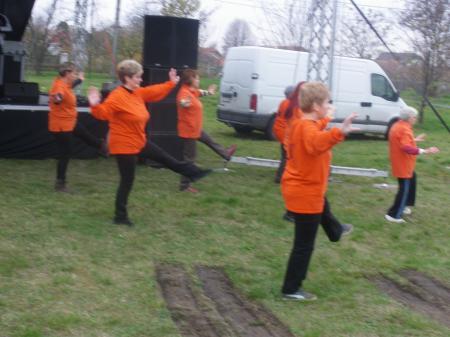 tai chi - Szirmai fzs 2013 Miskolc-Szirma