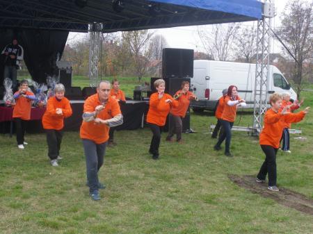 tai chi - Szirmai fzs 2013 Miskolc-Szirma