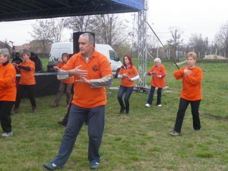tai chi - Szirmai fzs 2013 Miskolc-Szirma