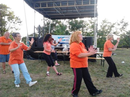 tai chi - Szirmai fzs 2015 Miskolc-Szirma