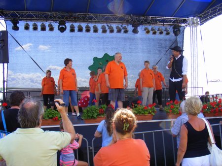 tai chi - II. Harsnyi Szrkemarha Fesztivl 2014 Harsny