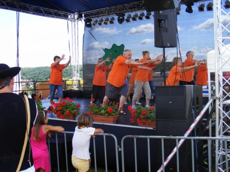 tai chi - II. Harsnyi Szrkemarha Fesztivl 2014 Harsny