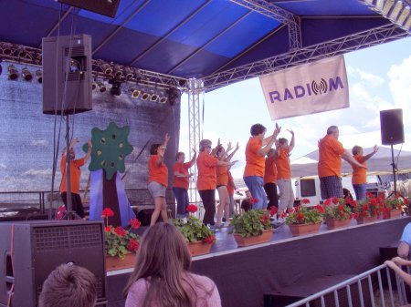 tai chi - II. Harsnyi Szrkemarha Fesztivl 2014 Harsny