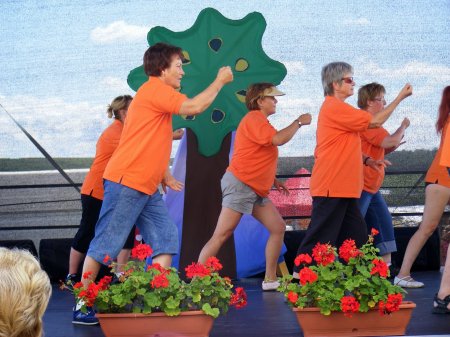 tai chi - II. Harsnyi Szrkemarha Fesztivl 2014 Harsny