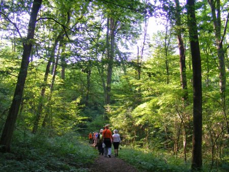 tai chi - varbi tbor 2014